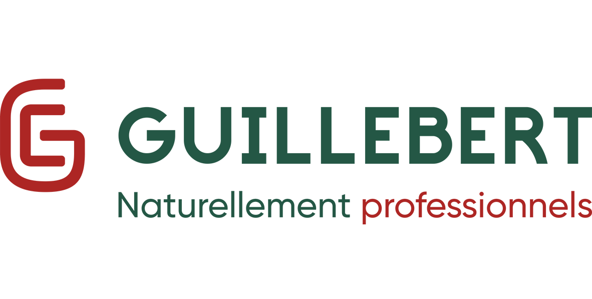 LOGO guillebertk W-link pro